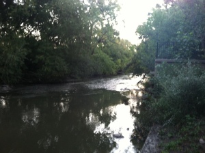 The river in the park near our new apartment.